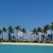SHNの画像