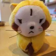 きなこサブレ(*´∀｀)の画像
