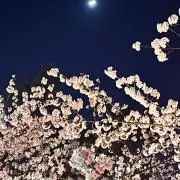 moonの画像