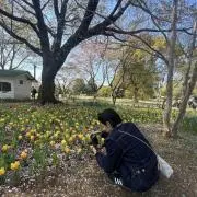 もも