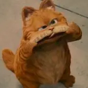 hiの画像