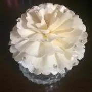 プリンプリン