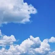 スカイの画像