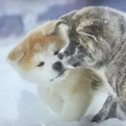 ‪✿‬みき‪✿の画像