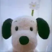 りーの画像