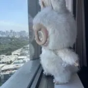 COCO❤︎の画像