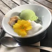 Rinの画像