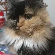 かずやー