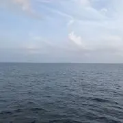 カツカレー★基本即日発送★の画像