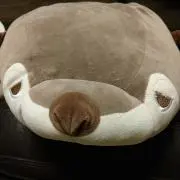 ぽん