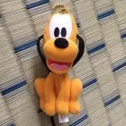 トラキチの画像