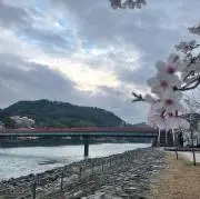 陸空海の画像