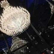ぴの画像