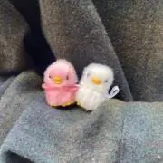 山崎 即購入可♪の画像