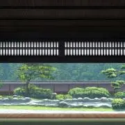 キョウの画像