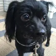 ぺこちゃん♥︎