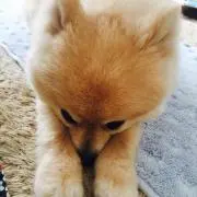 rinori♡の画像