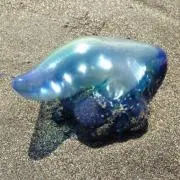 imoonの画像