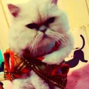 raggalisaの画像