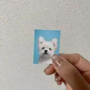 ℳ.