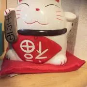 ケン坊の画像