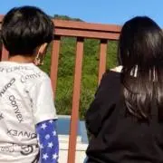 りんごの画像