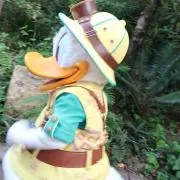 りんご（値下コメント・依頼お断り）の画像