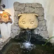 えびきゅうの画像