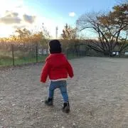 Lilyの画像