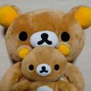 くまっくまの画像