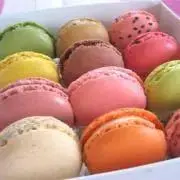 macaronの画像