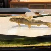 mokomichi