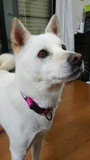 ねむみ