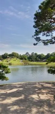 たぬきいぬははの画像