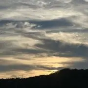 Takeの画像
