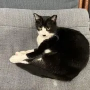 ホペアの画像
