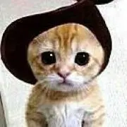 パム