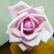 かな