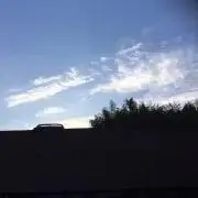 のこのこの画像