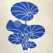 天蛙