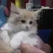 みーや※プロフ必読※の画像