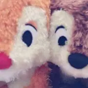 せん