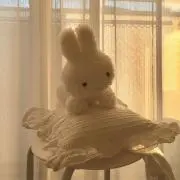 niの画像