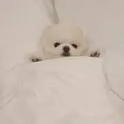 7の画像