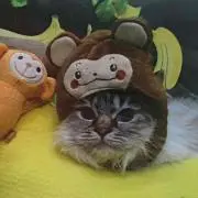 ひーちゃん