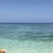 ゆぅの画像