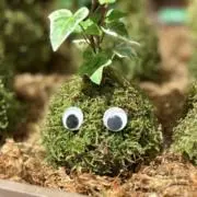 ke⭐︎okaの画像