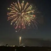 ありなす