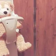 きのこ