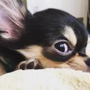 のむたん◡̈値下げ希望提示してください